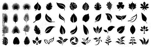 Leaf icons set, tropical leaves set, palm leaves silhouettes isolated, green leafs, environment and nature eco sign