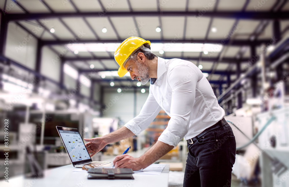 Portrait of project manager standing in modern industrial factory. Manufacturing facility with robotics, robotic arms and automation. Storing products and materials in warehouse. Portrait of project manager standing in modern industrial factory. Manufacturing facility with robotics, robotic arms and automation. Storing products and materials in warehouse.