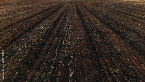 Detail of a crop field in aerial view