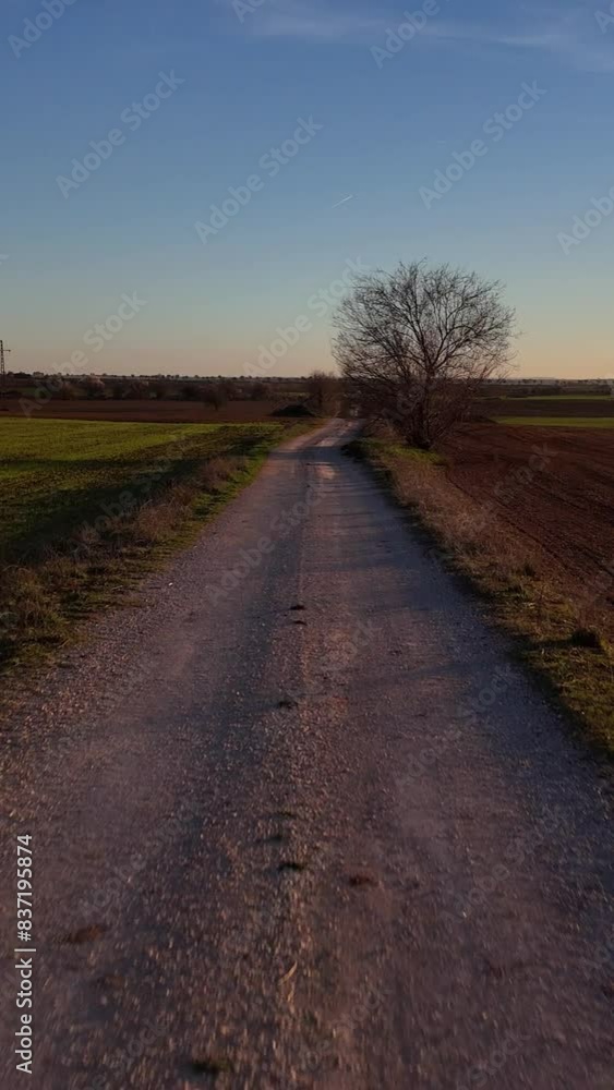 Vertical video of A drone flies backwards along a rural road at sunset Vertical video of A drone flies backwards along a rural road at sunset