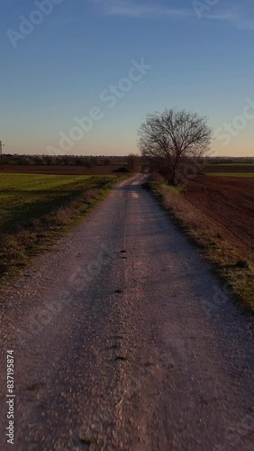Vertical video of A drone flies backwards along a rural road at sunset
