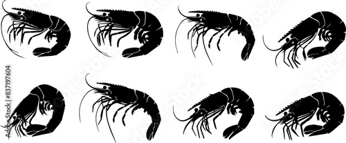 Shrimp Silhouette 