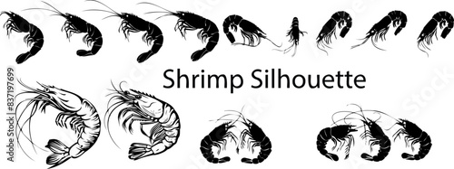 Shrimp Silhouette  © Mozahidul
