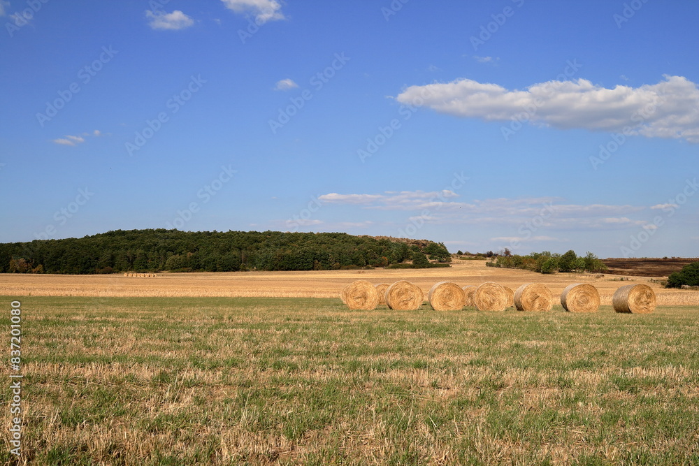 Wheat bale.