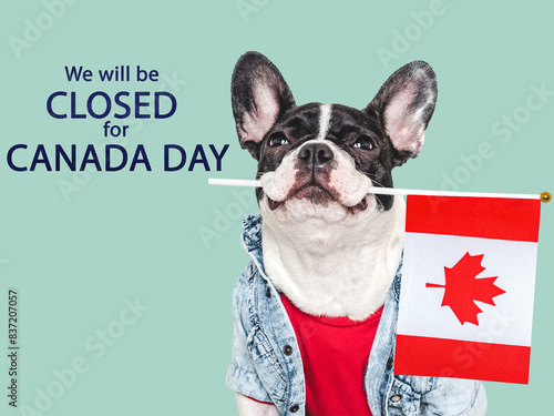 We will be closed for Canada Day. Signboard and a cute puppy. Closeup, indoors. Studio shot. Congratulations for family, loved ones, friends and colleagues. Pets care concept