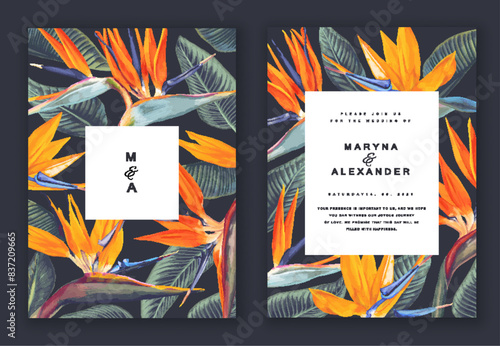 Template for card, greeting, postcard, label, place for text for advertising banner or post with botanical elements. Realistic tropical Strelitzia flowers on a dark background. Hand drawn plants.