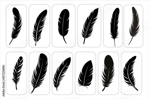 feather silhouette Bundle, Bird Feather Silhouette