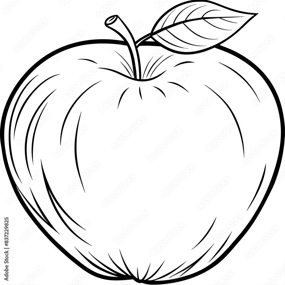 Apple outline coloring book page line art drawing vector illustration for children and adults Apple outline coloring book page line art drawing vector illustration for children and adults