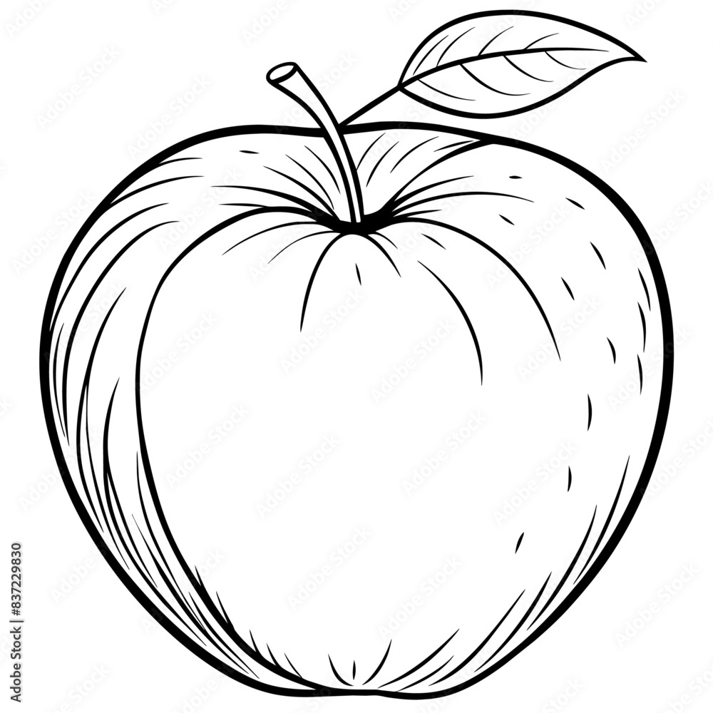 Apple outline coloring book page line art drawing vector illustration for children and adults Apple outline coloring book page line art drawing vector illustration for children and adults