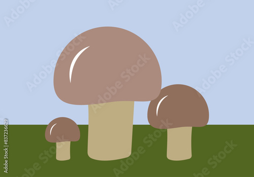 Hongos, setas o champiñones en el campo.