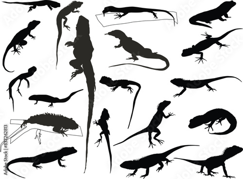 set of nineteen reptiles isolated on white