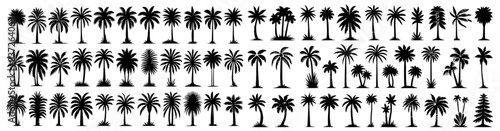 tropical palm trees, holiday vibes, hot summer water and sand on the beach deserted island, vector black decorative for laser cutting, printing and engraving photo