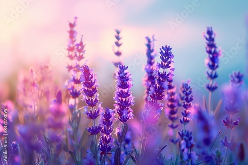 Lavender Sky Blue Gradient Art