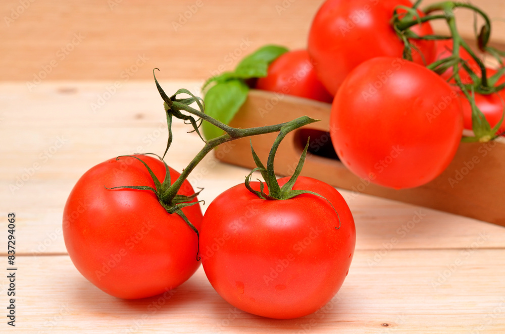 tomatoes on a branch close-up on a wooden background tomatoes on a branch close-up on a wooden background