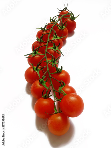 Cherry tomatoes on a branch on a white background