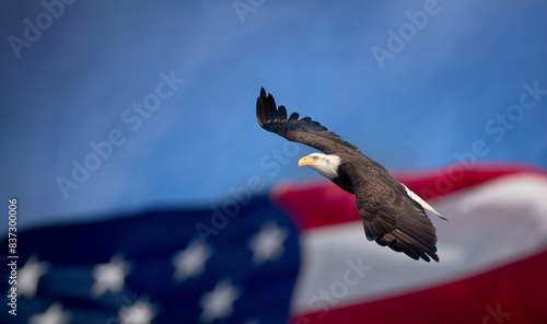 Bald Eagle fling over American Flag Patriotic Image