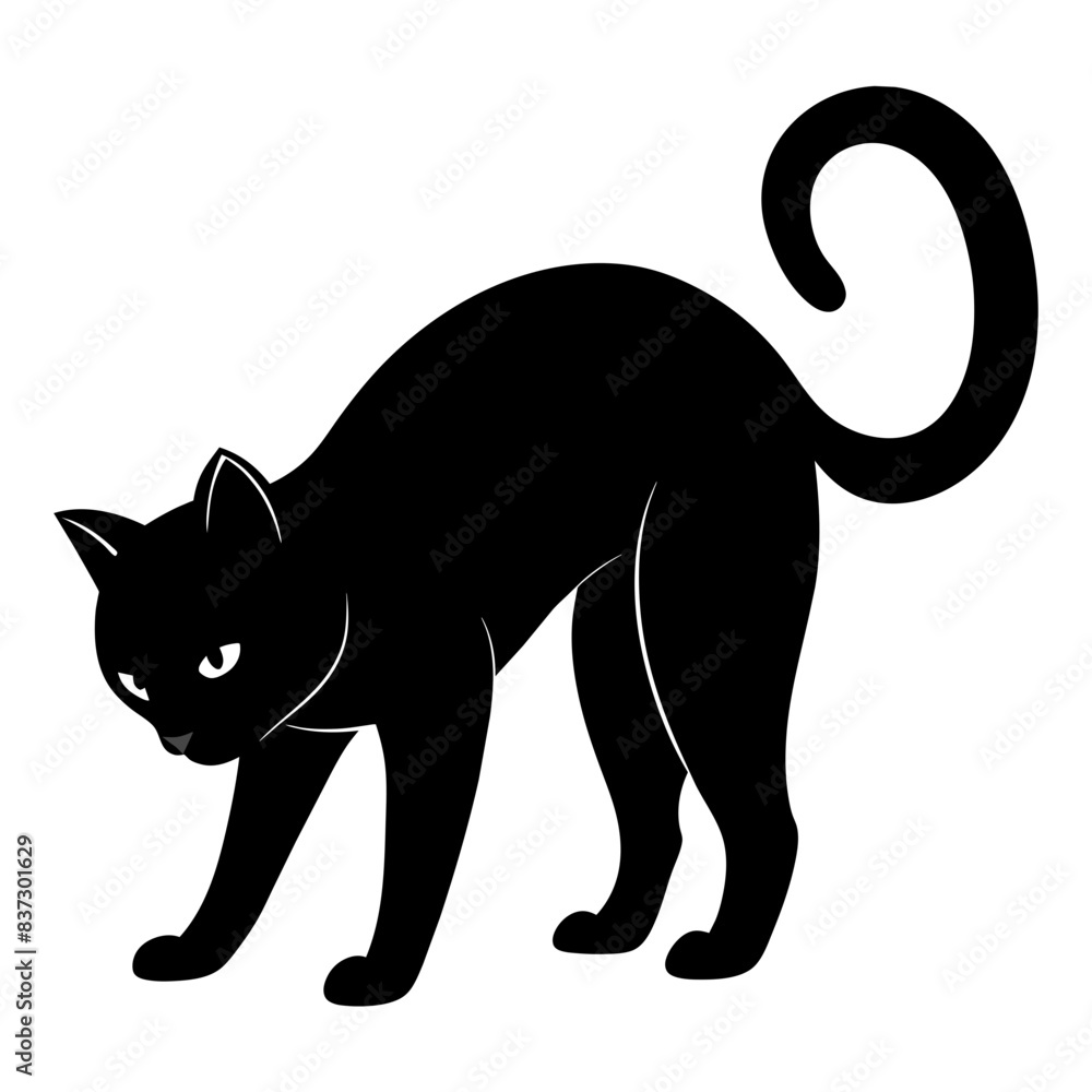 Obraz premium black cat