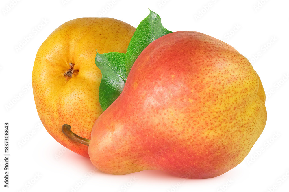 Pears on an isolated white background. Pears on an isolated white background.