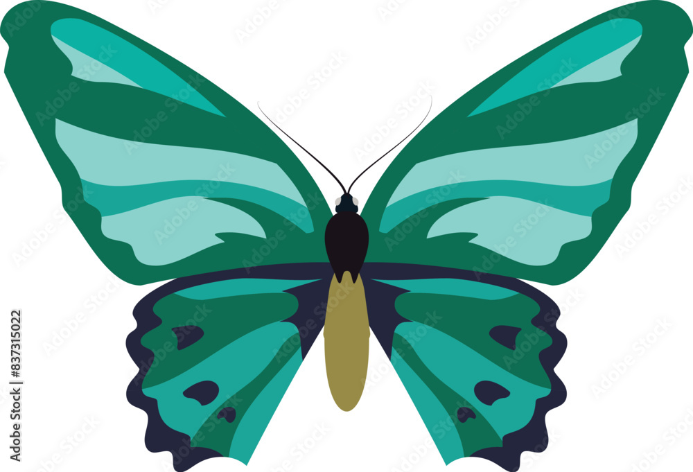 A vibrant green and blue butterfly perched on a plain white background. A vibrant green and blue butterfly perched on a plain white background.