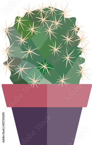 A cactus plant in a terracotta pot, isolated on a plain white background.