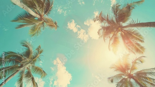 A vintage frame showcasing tropical palm trees against a sunset-lit sky, evoking a nostalgic, warm atmosphere.   © Chingiz