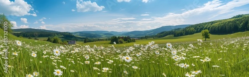 Beautiful spring and summer natural panoramic pastoral landscape with blooming field of daisies in the grass in the hilly countryside © armensl