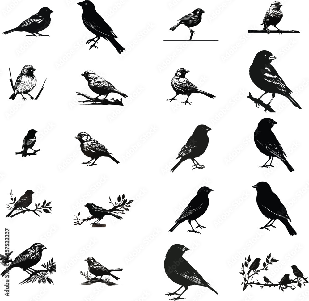 Fototapeta premium Black Color Silhouette of a sparrow, Silhouette Vector Illustration, Solid White Background design, or Artwork design