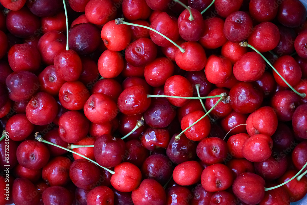 A Beautiful sweet cherry on nature in the park background for marketing A Beautiful sweet cherry on nature in the park background for marketing