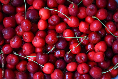 A Beautiful sweet cherry on nature in the park background for marketing