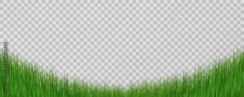 Grass border, vector illustration. Vector grass, lawn. Grass png, lawn png. Green grass with sun glare.	
