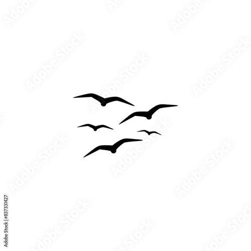 Seagulls icon isolated on white background