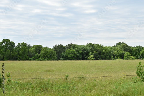 Clouds Over Grass in a Farm Field photo