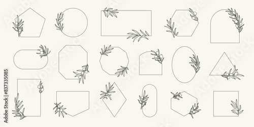 Minimal frames set with olive branches in minimal linear style. Vector leaves and olive fruits . Logos template with olive plants