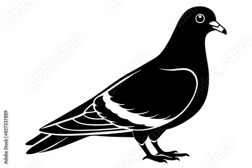 pigeon silhouette vector illustration