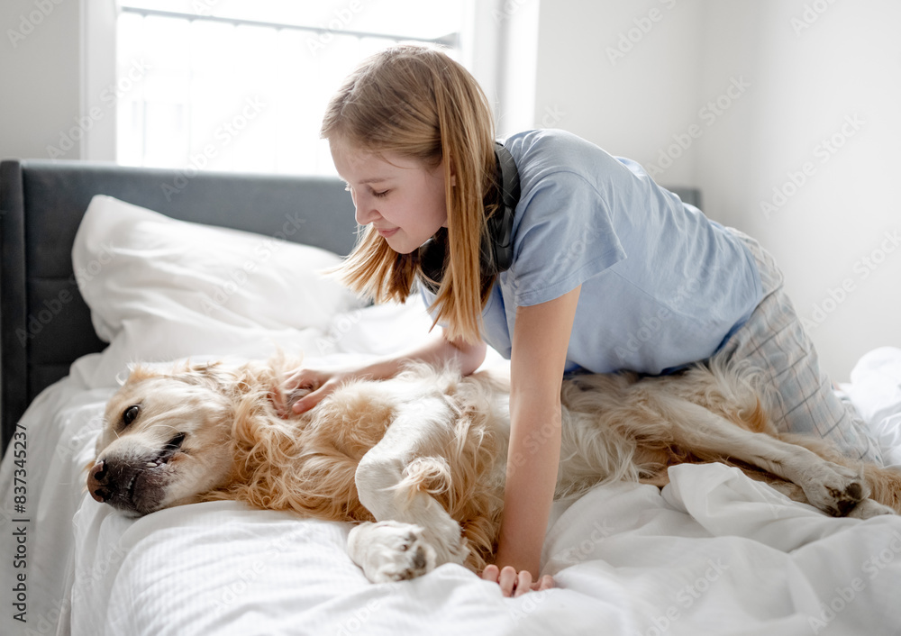 Girl Plays With Golden Retriever In Bed In The Morning In A Bright Room Girl Plays With Golden Retriever In Bed In The Morning In A Bright Room