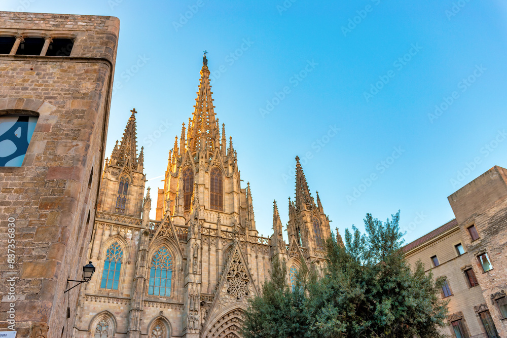 Gothic Barcelona Cathedral at the sunrise, Spain. Gothic Barcelona Cathedral at the sunrise, Spain.