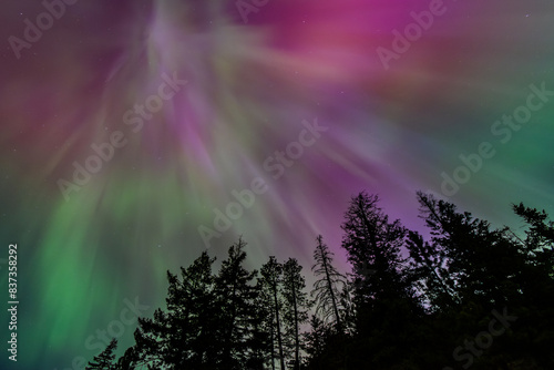 Amazing Aurora Borealis Northern Lights Seen Over Washington State  USA