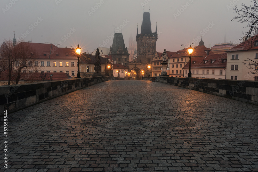 Obraz premium View of the Charles Bridge in Prague. Czech Republic.
