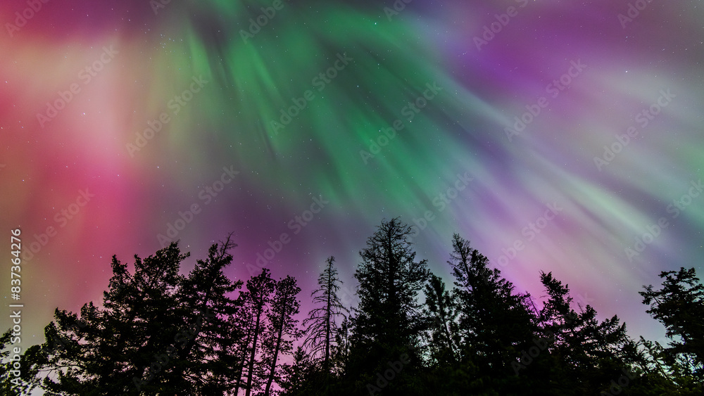 Amazing Aurora Borealis Northern Lights Seen Over Washington State, USA Amazing Aurora Borealis Northern Lights Seen Over Washington State, USA
