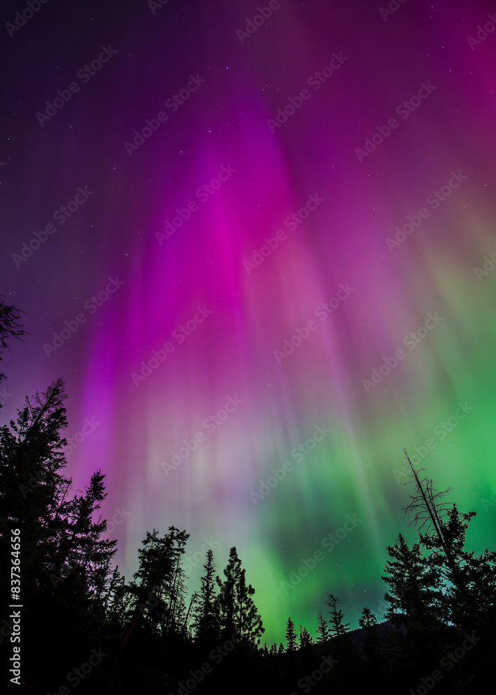 Amazing Aurora Borealis Northern Lights Seen Over Washington State, USA