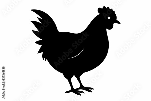 Silhouette of a rooster with detailed feathers. Black chicken in side view. Rural life, farm animal, bird illustration, livestock concept. Black silhouette isolated on white background