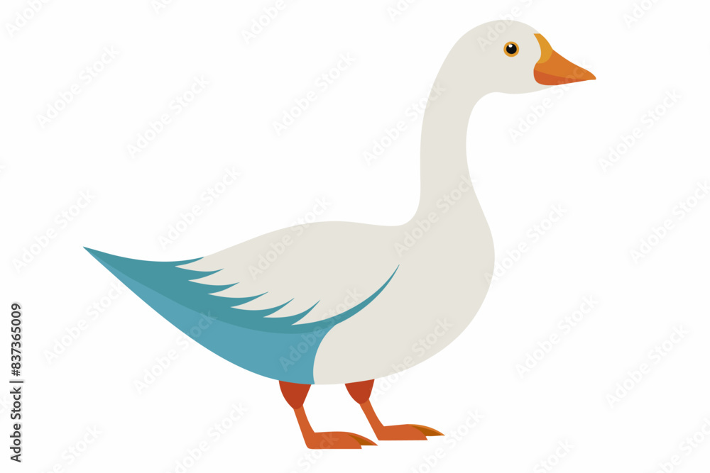 White goose with orange beak and feet standing, bird illustration, domestic animal drawing, avian concept. Isolated on white background. White goose with orange beak and feet standing, bird illustration, domestic animal drawing, avian concept. Isolated on white background.