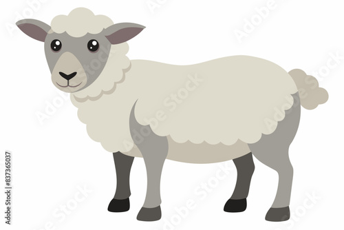 Cartoon sheep with цршеу wool standing against white background. Cute farm animal. Livestock, agriculture, rural life, childrens illustration concept.