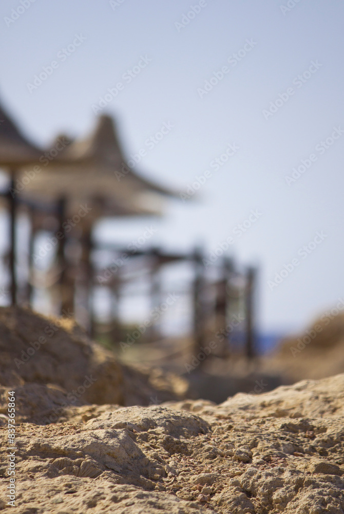 Fototapeta premium View on sunshades on beach in resort, Sharm El Sheikh, Red Sea coast, Egypt