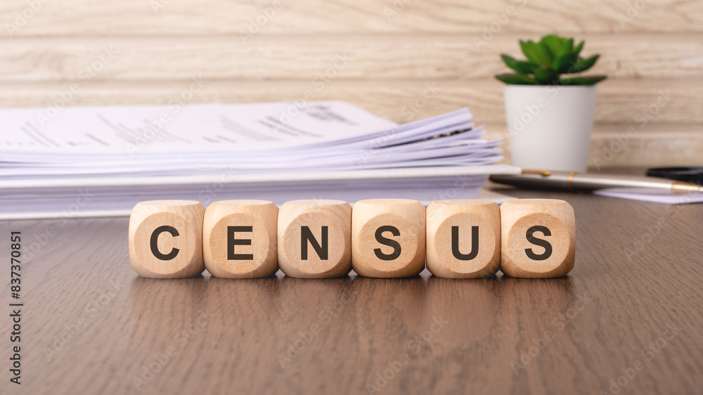 Αυτοκόλλητο the word of census on wooden cubes