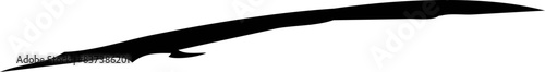 Dry paint brush stroke background