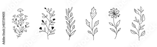 Flower doodle vector set. Sketch botanical elements. Leaves and flowers scetchy collection.