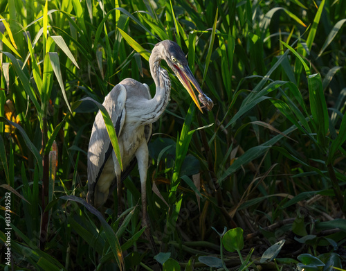 Photography Garza mora