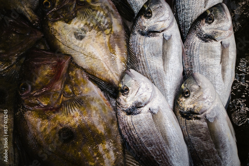 Atlantic fish displayed on a market or store counter, fresh and ready for sale.