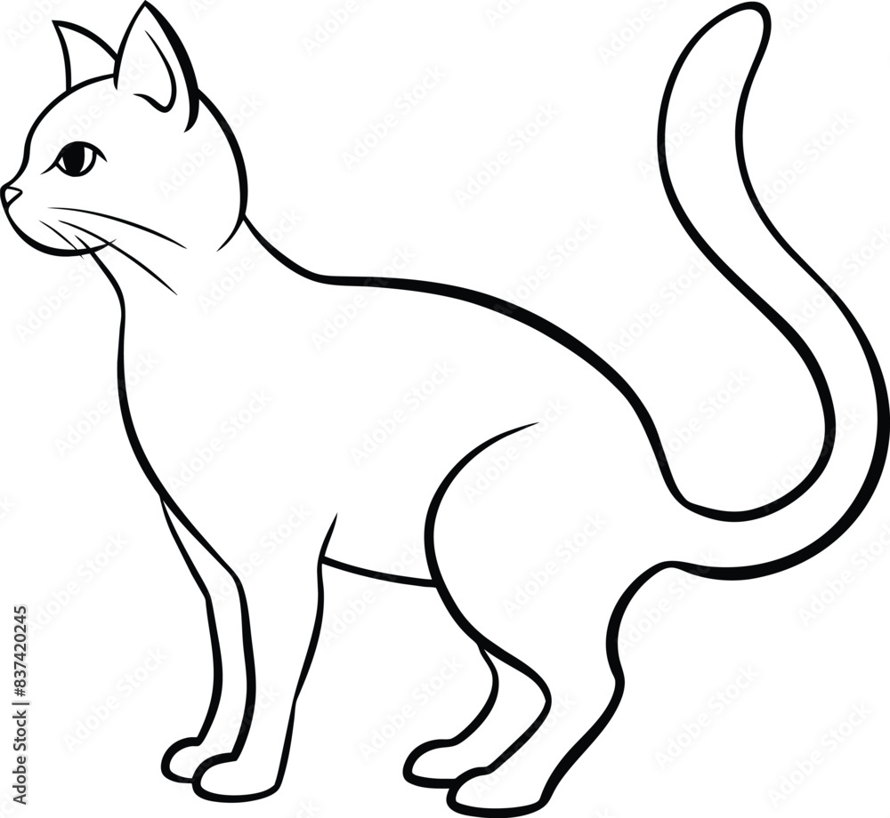 Obraz premium cat vector illustration